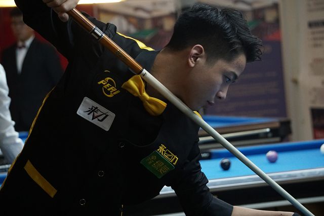 界的常青树 界的常青树